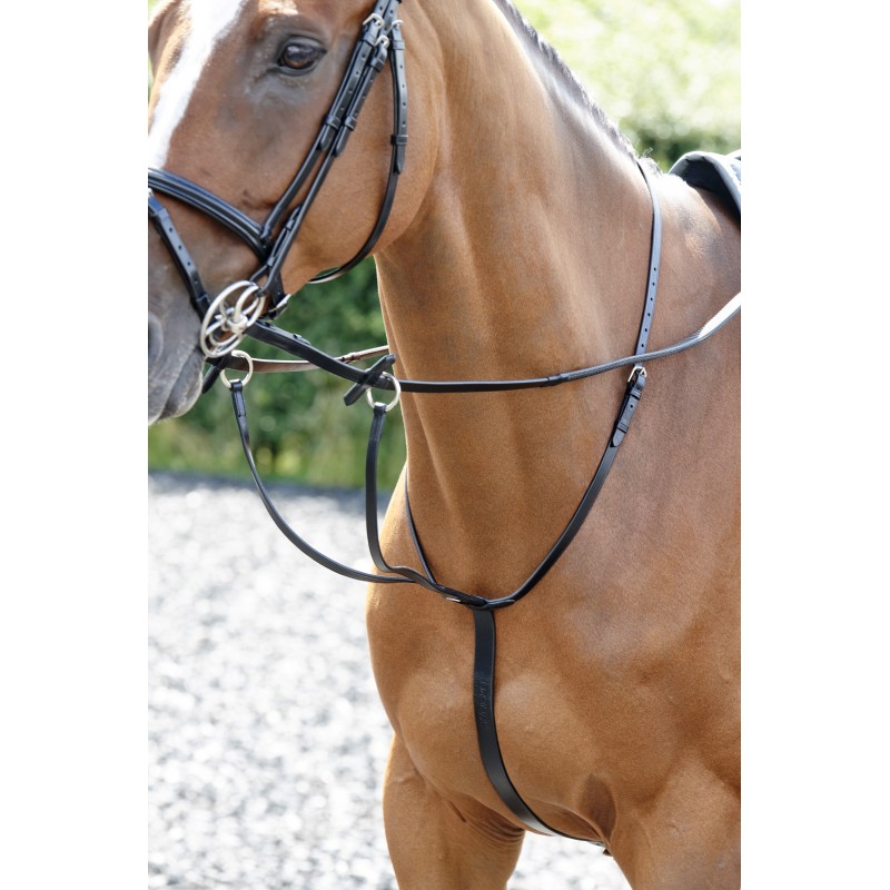 MA077 Barton Martingale